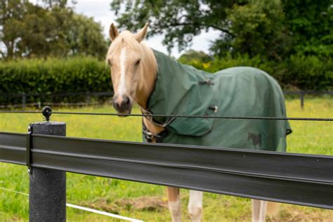 electric horse box|Electric Fencing .